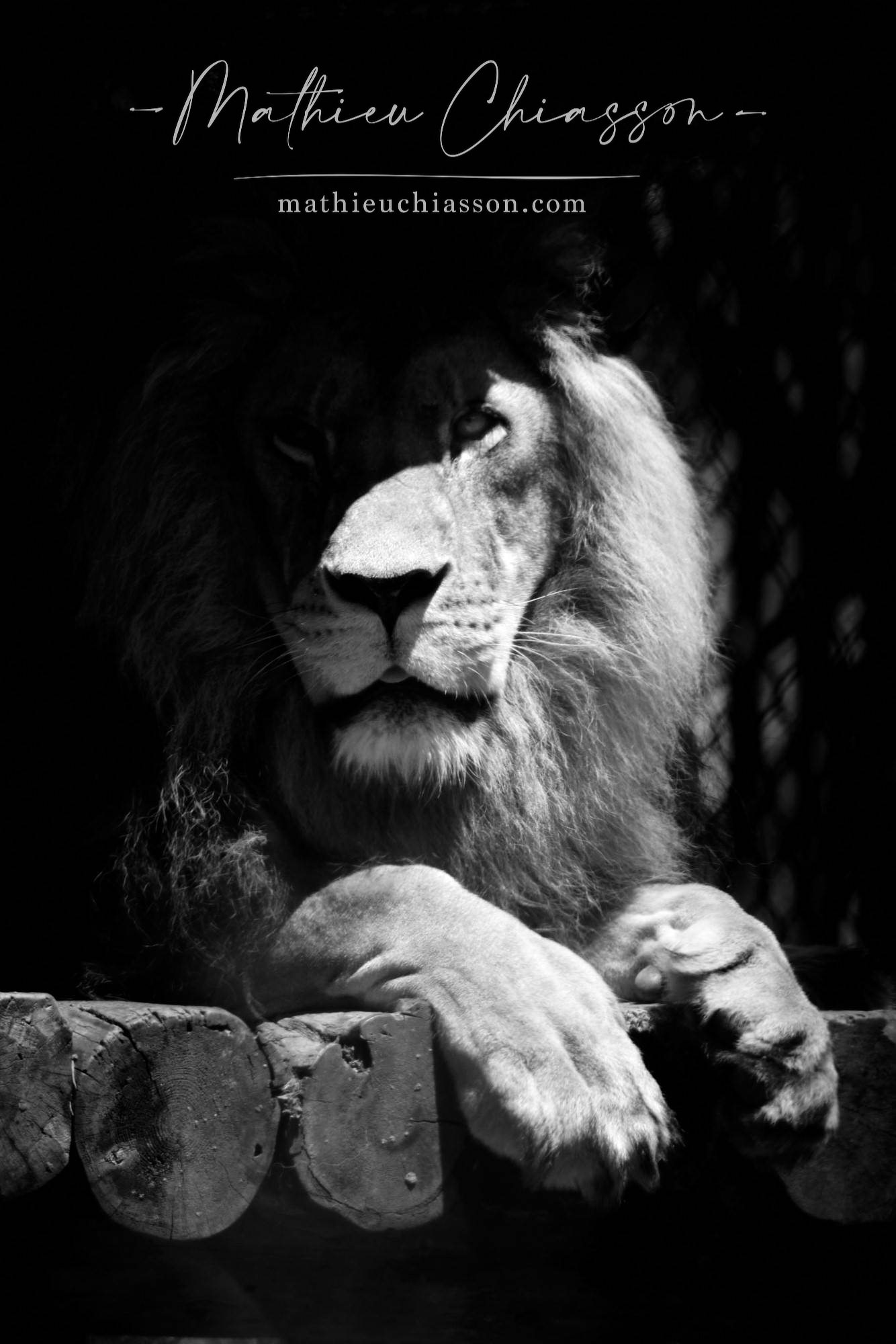 Photo by Mathieu Chiasson